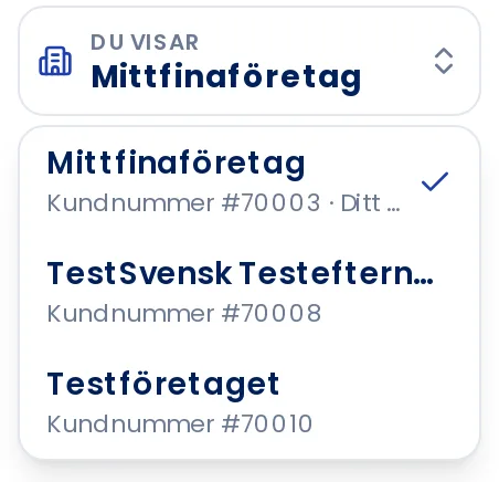 Listan över konton i rutan Du visar