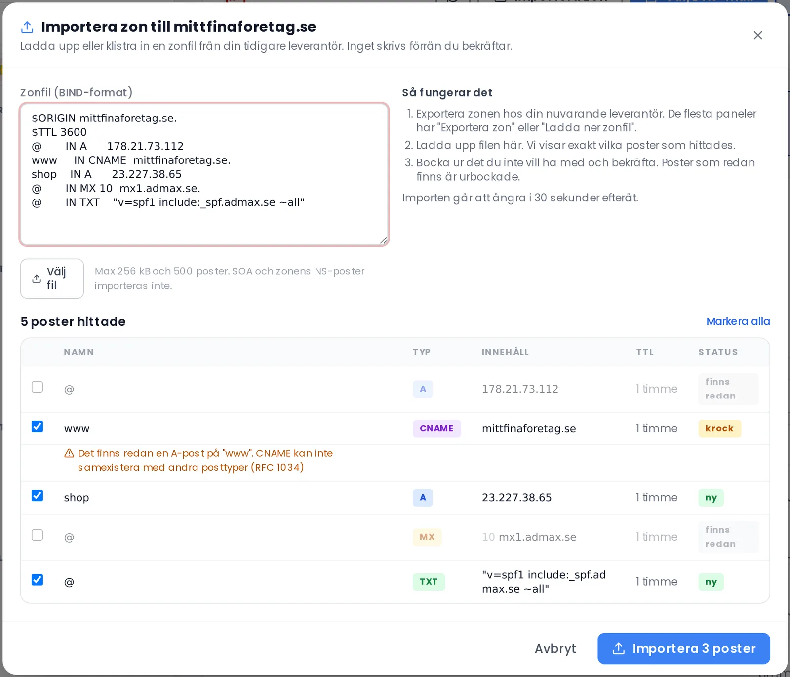 The Import zone box with a pasted zone file and preview