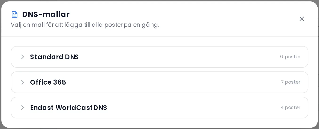 The DNS templates panel showing the list of templates