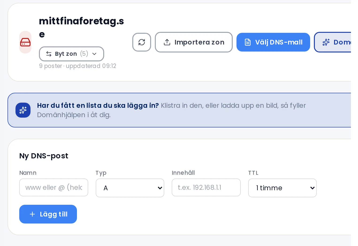 DNS-zonen för en domän med verktygsrad, formuläret Ny DNS-post och listan över poster