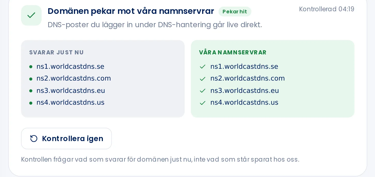 Namnserverkontrollen som visar vilka namnservrar som svarar just nu